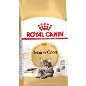Royal canin maine coon