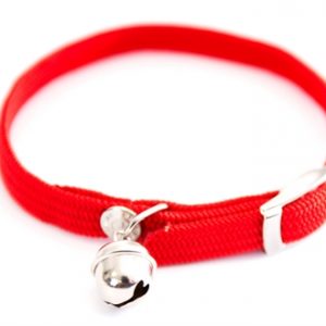 Halsband kat elastisch nylon rood