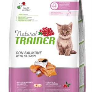 Natural trainer kitten zalm